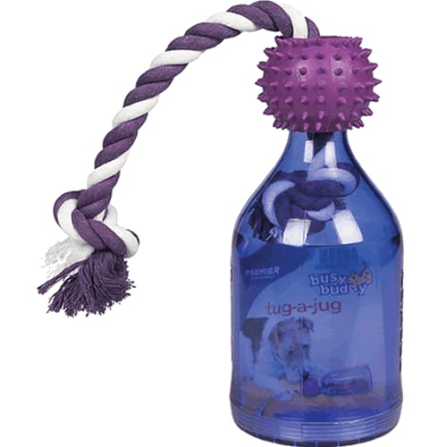 purple colored tug dog toy