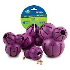 purple colored barnacle dog toy