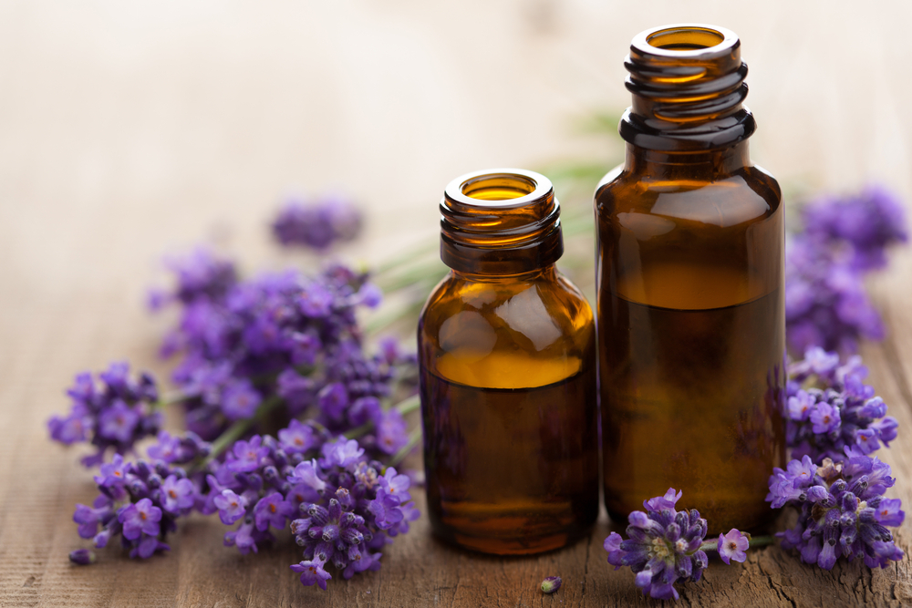 soothing lavender oil