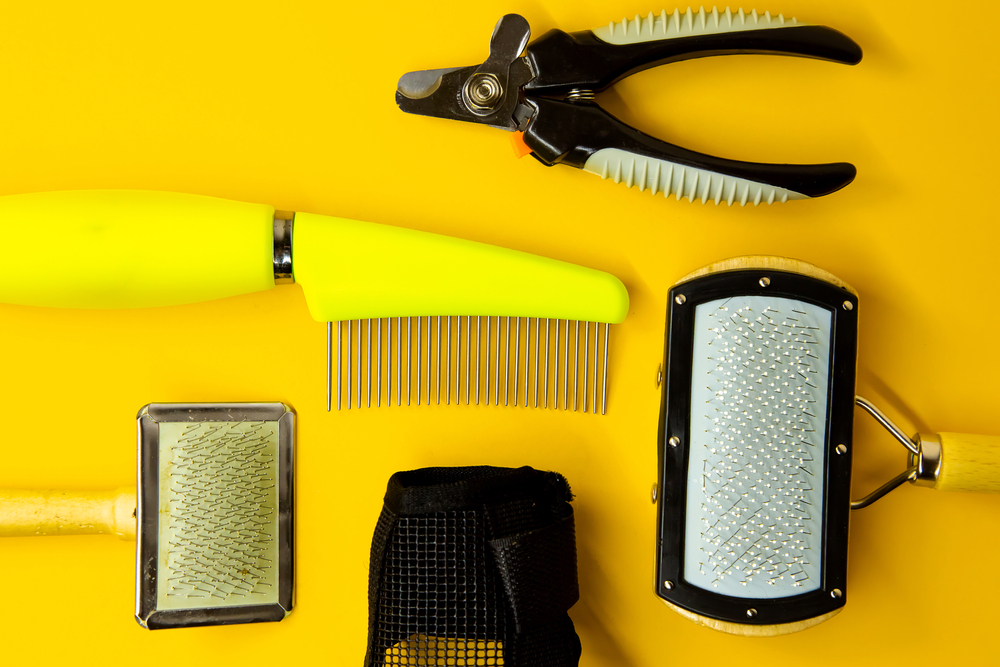 various pet grooming supplies