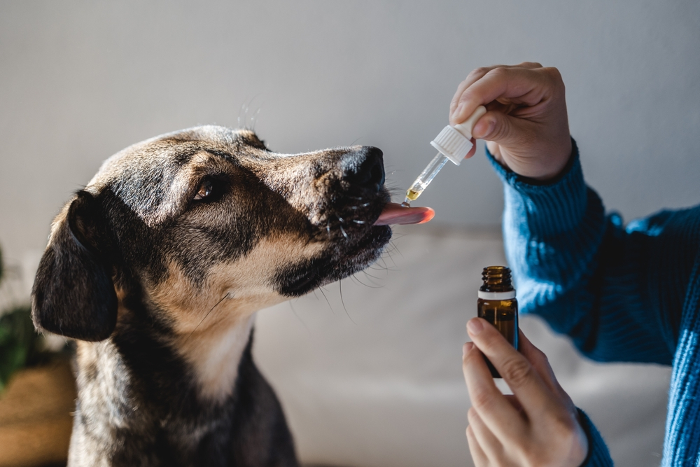 a dog drinking supplement drops