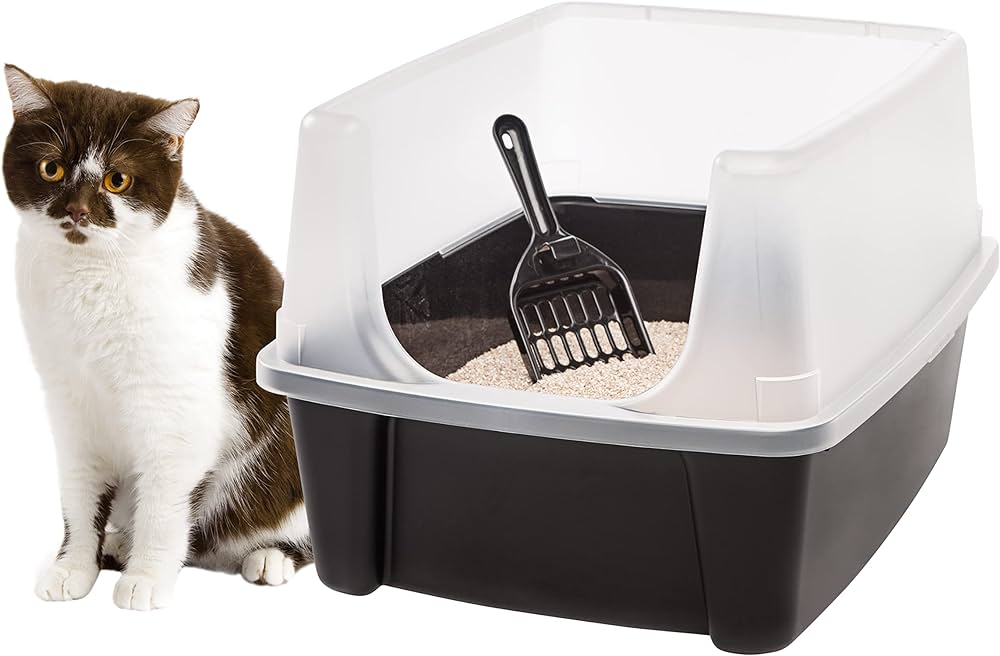 Cute Brown Cat sitting near a litter box