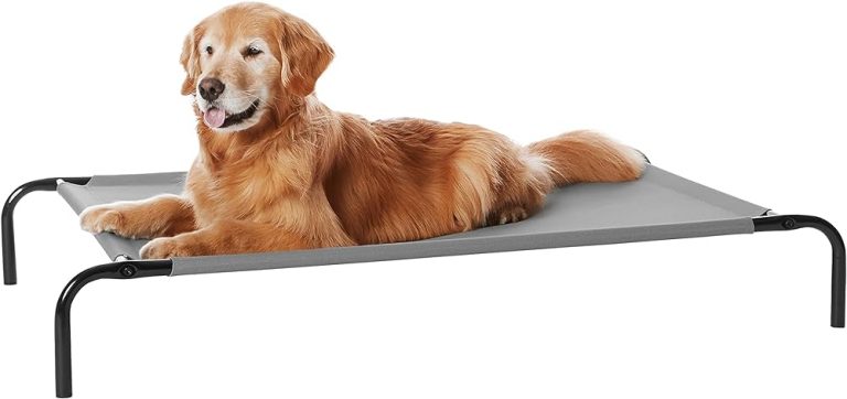 Elderly dog sitting on an elevated dog bed