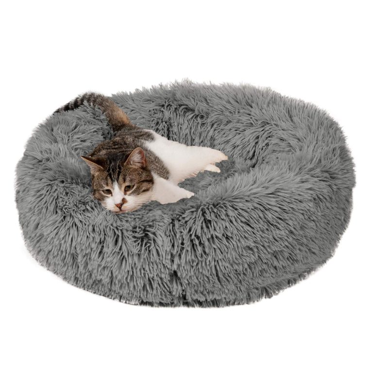 Tabby Cat laying on a soft donut shaped bed